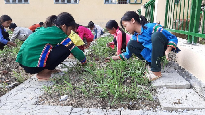 Lào Cai lên kế hoạch bảo vệ môi trường ngành giáo dục
