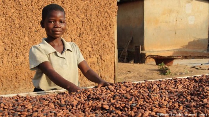 Châu Phi: Lao động trẻ em tăng trở lại sau 2 năm dịch
